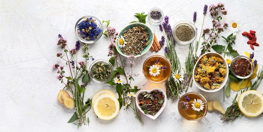 6 Herbal Teas That Help Build Your Immunity - Sublime House of Tea
